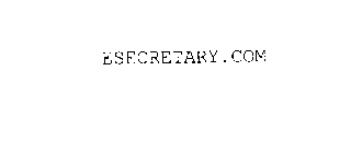 ESECRETARY.COM