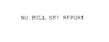 NO BULL SKI REPORT