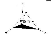 IDENTITY A B C D X Y Z