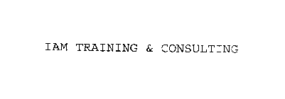 IAM TRAINING & CONSULTING