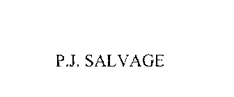 P.J. SALVAGE