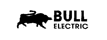 BULL ELECTRIC