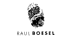 RAUL BOESEL