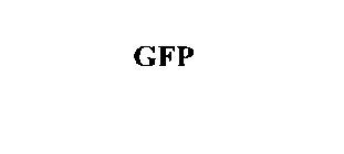 GFP