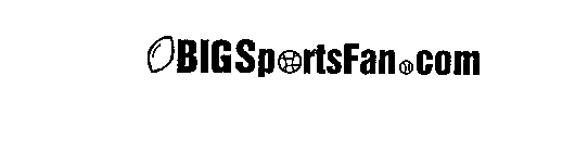 BIGSPORTSFAN.COM