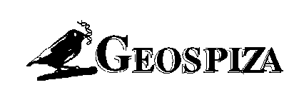 GEOSPIZA