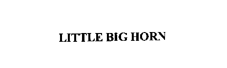 LITTLE BIG HORN