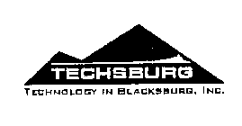 TECHSBURG TECHNOLOGY IN BLACKBURG, INC.