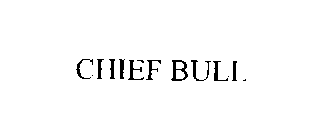 CHIEF BULL