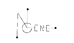 N GENE