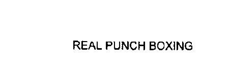 REAL PUNCH BOXING