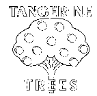 TANGERINE TREES
