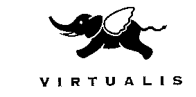 VIRTUALIS