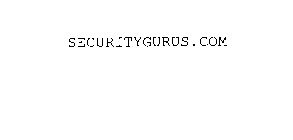 SECURITYGURUS.COM