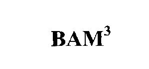 BAM3