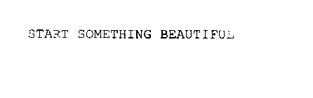 START SOMETHING BEAUTIFUL