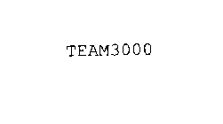 TEAM3000