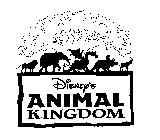 DISNEY'S ANIMAL KINGDOM