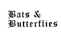 BATS & BUTTERFLIES