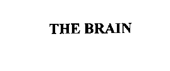 THE BRAIN