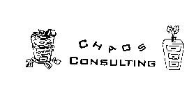 CHAOS CONSULTING