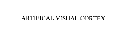ARTIFICAL VISUAL CORTEX