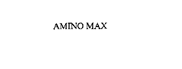 AMINO MAX