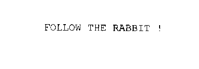 FOLLOW THE RABBIT !