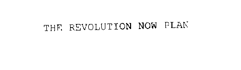 THE REVOLUTION NOW PLAN