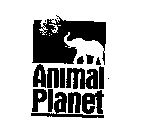 ANIMAL PLANET