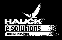 HAUCK E-SOLUTIONS FOR COMBUSTION