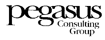 PEGASUS CONSULTING GROUP