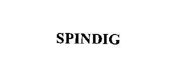 SPINDIG