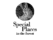 SPECIAL PLACES IN THE FOREST