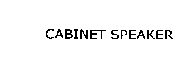 CABINET SPEAKER