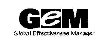GLOBAL EFFECTIVENESS MANAGER