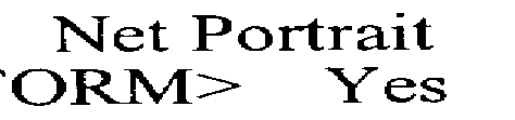 NET PORTRAIT