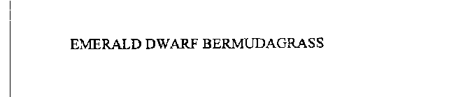 EMERALD DWARF BERMUDAGRASS