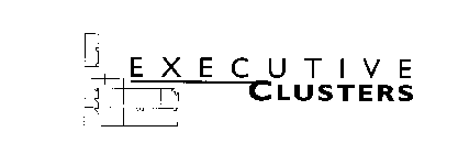 EXECUTIVE CLUSTERS