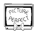 PICTURE PERFECT