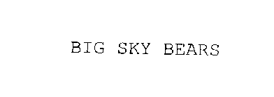 BIG SKY BEARS
