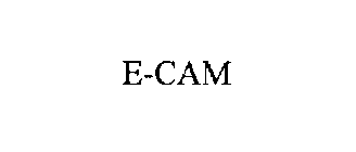 E-CAM
