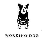 WORKING DOG