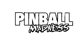 PINBALL MADNESS