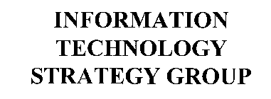 INFORMATION TECHNOLOGY STRATEGY GROUP