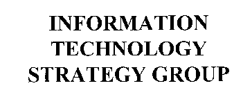 INFORMATION TECHNOLOGY STRATEGY GROUP