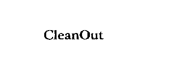 CLEANOUT
