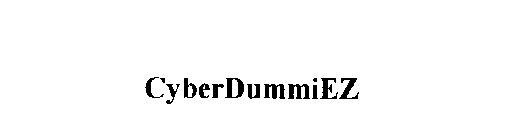 CYBERDUMMIEZ