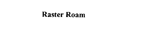 RASTER ROAM