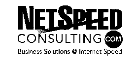 NETSPEED CONSULTING COM BUSINESS SOLUTIONS @ INTERNET SPEED
